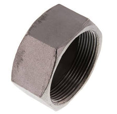 2'' NPT Acier inoxydable Capuchon d'extrémité 16 Bar