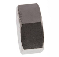 2'' NPT Acier inoxydable Capuchon d'extrémité 16 Bar