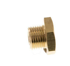 M5 x G 1/8'' F/M Brass Reducing Ring 16 Bar [10 Pieces]