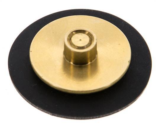 Réducteur de pression d'eau à membrane G1/4'' de remplacement S-48RD