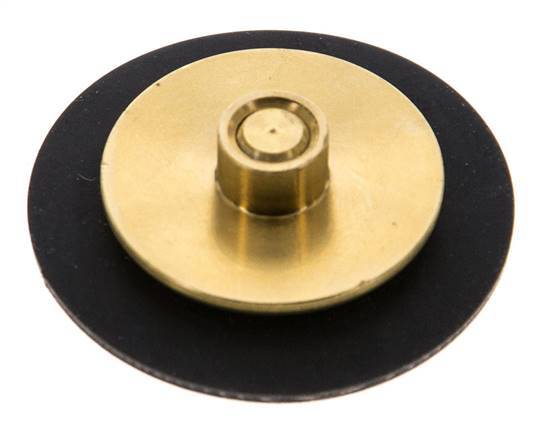 Réducteur de pression d'eau à membrane G1/4'' de remplacement S-48RD