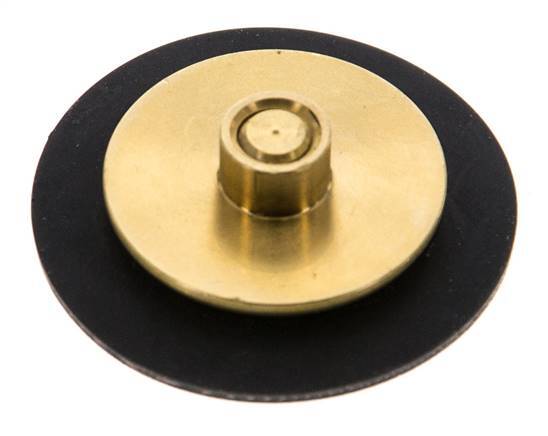 Réducteur de pression d'eau à membrane G1/4'' de remplacement S-48RD