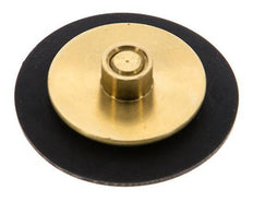 Réducteur de pression d'eau à membrane G1/4'' de remplacement S-48RD