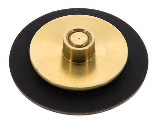 Réducteur de pression d'eau à membrane G1/4'' de remplacement S-48RD