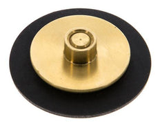 Réducteur de pression d'eau à membrane G1/4'' de remplacement S-48RD