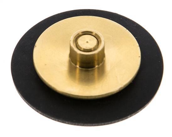 Réducteur de pression d'eau à membrane G1/4'' de remplacement S-48RD