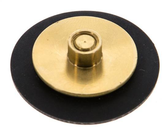 Réducteur de pression d'eau à membrane G1/4'' de remplacement S-48RD