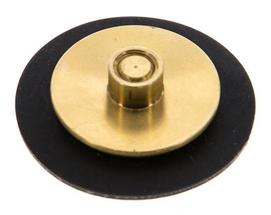 Réducteur de pression d'eau à membrane G1/4'' de remplacement S-48RD