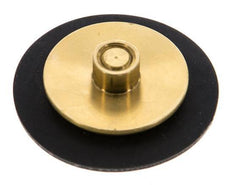 Réducteur de pression d'eau à membrane G1/4'' de remplacement S-48RD