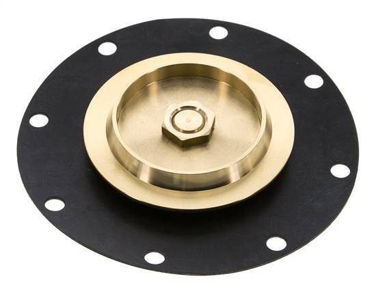 Membrane de remplacement G1'' PN6-PN16 Réducteurs de pression d'eau S-48RD