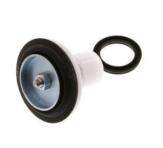 Kit de remplacement de valve R 1'' et R 11/4'' 1.5 - 6bar Braukmann