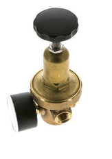 Réducteur de pression d'eau Bronze G3/8'' 10 l/min 0.2-2 bar/3-29psi