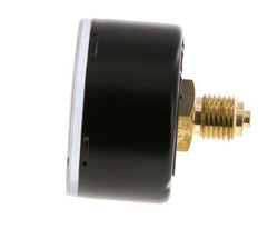 0..0.6 Bar (0,9 lb/po2) pression Arrière Acier/laiton 50 mm Classe 1.6