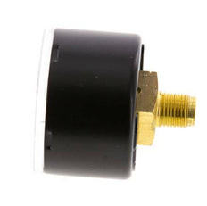 0..1.6 Bar (0..23 psi) pression Arrière Acier/laiton 40 mm Classe 1.6