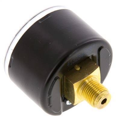 0..1.6 Bar (0..23 psi) pression Arrière Acier/laiton 40 mm Classe 1.6