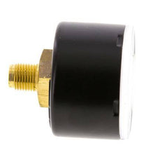 0..1.6 Bar (0..23 psi) pression Arrière Acier/laiton 40 mm Classe 1.6