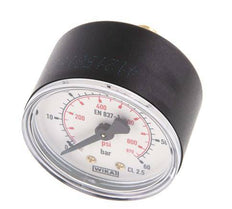 0..60 Bar (0..870 psi) Pressure Gauge Rear Plastic/Brass 50 mm Class 2.5