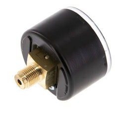 0..6 Bar (0..87 psi) pression Arrière Acier/laiton 40 mm Classe 1.6