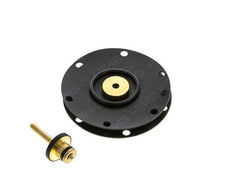 Diaphragme de remplacement Standard 3