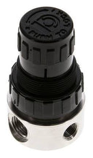 Régulateur de pression G1/4'' 350l/min 1.0-15.0bar/14-218psi Acier inoxydable/POM Gaz Liquides