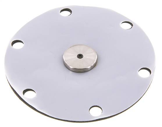Membrane de remplacement PTFE/NBR 1''