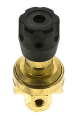 Régulateur de pression G1/4'' 490l/min 2.0-30.0bar/29-435psi