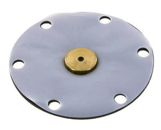 Membrane de remplacement PTFE/NBR 1''