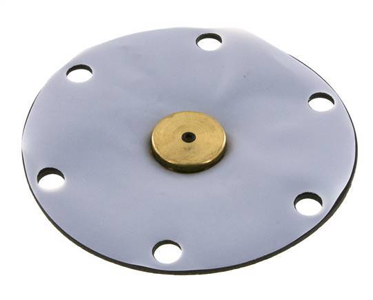 Membrane de remplacement PTFE/NBR 1''