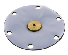 Membrane de remplacement PTFE/NBR 1''