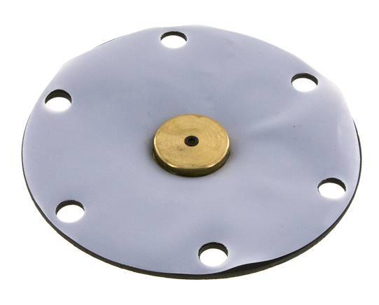 Membrane de remplacement PTFE/NBR 1''