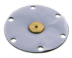 Membrane de remplacement PTFE/NBR 1''