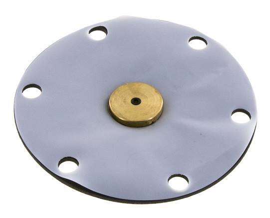 Membrane de remplacement PTFE/NBR 1''