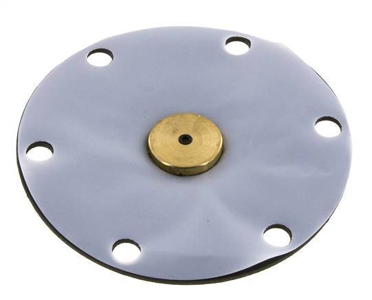 Membrane de remplacement PTFE/NBR 1''