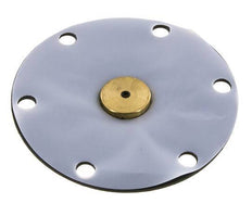 Membrane de remplacement PTFE/NBR 1''