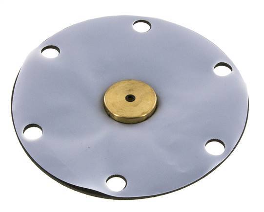 Membrane de remplacement PTFE/NBR 1''