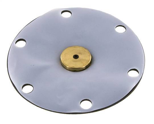 Membrane de remplacement PTFE/NBR 1''