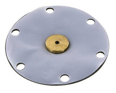 Membrane de remplacement PTFE/NBR 1''