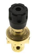 Régulateur de pression G1/4'' 490l/min 1.0-15.0bar/14-218psi