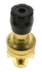 Régulateur de pression1/4'' 490l/min 3.0-50.0bar/44-725psi