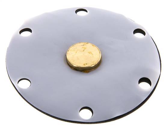 Membrane de remplacement PTFE/NBR 1''