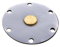 Membrane de remplacement PTFE/NBR 1''