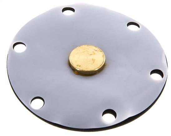 Membrane de remplacement PTFE/NBR 1''