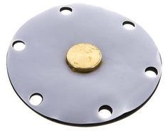 Membrane de remplacement PTFE/NBR 1''