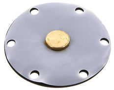 Membrane de remplacement PTFE/NBR 1''