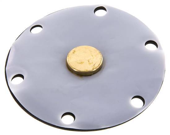 Membrane de remplacement PTFE/NBR 1''