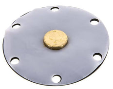 Membrane de remplacement PTFE/NBR 1''