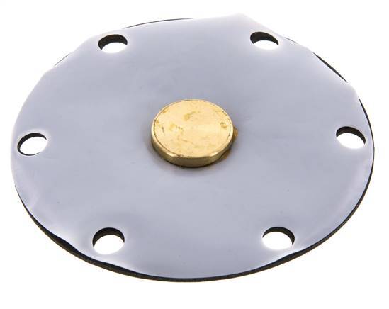 Membrane de remplacement PTFE/NBR 1''