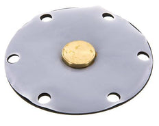 Membrane de remplacement PTFE/NBR 1''