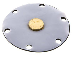 Membrane de remplacement PTFE/NBR 1''