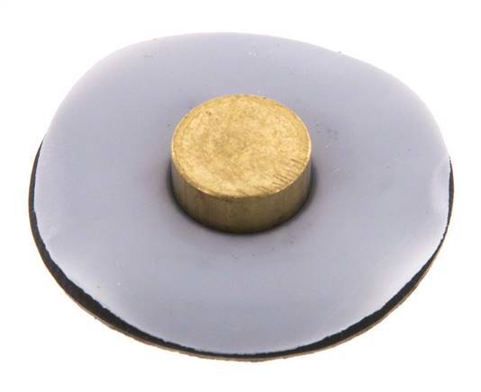 Membrane de remplacement PTFE/NBR 1/4''